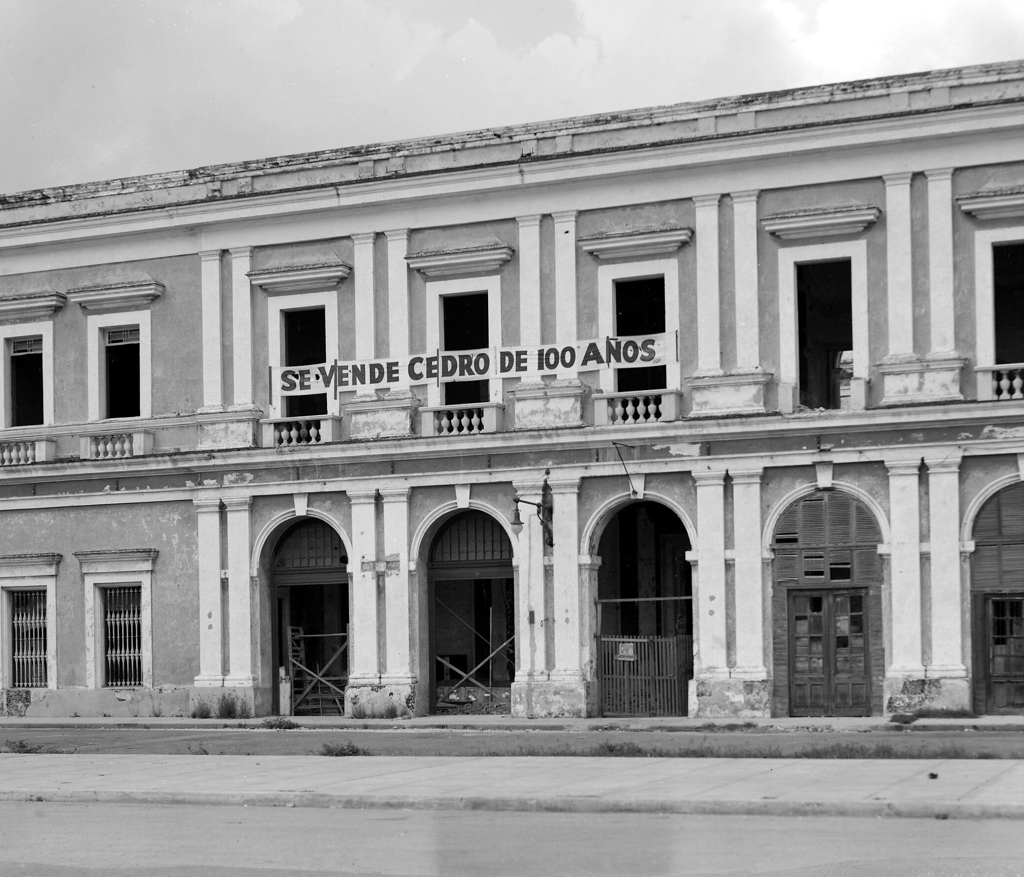 cedro-cuba